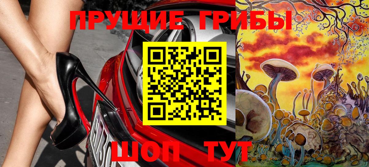 Галлюциногенные грибы GOLDEN TEACHER  Вход с VPN  Мурманск 