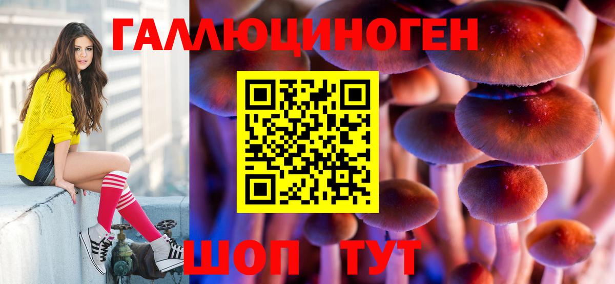 Галлюциногенные грибы Cubensis Мурманск